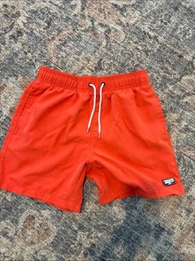 Binky Bro Adult Swim Trunks